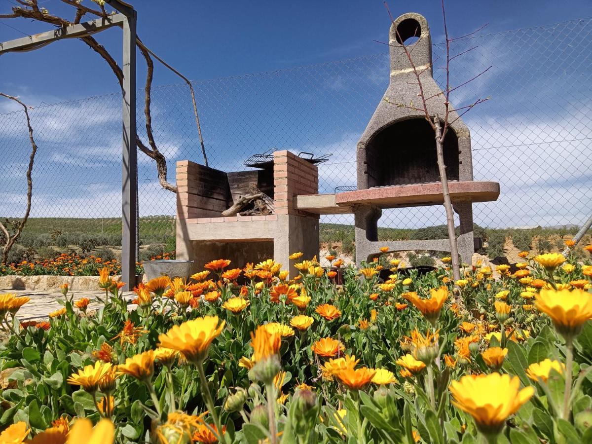 Cortijo Puente Alhama Holiday home